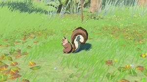 bushy tailed squirrel wildlife zelda totk wiki guide 300px