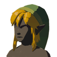 cap of the wild armor zelda tears of the kingdom wiki guide 200px