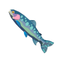 chillfin trout materials zelda tears of the kingdom wiki guide 200px