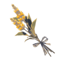 electric safflina zelda tears of the kingdom wiki guide 200px