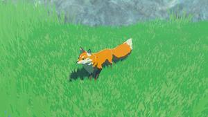 grassland fox wildlife zelda totk wiki guide 300px