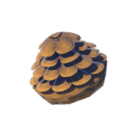 hylian pine cone materials zelda tears of the kingdom wiki guide 200px