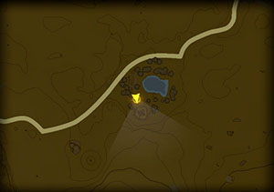 lost in the dunes location map zelda totk wiki guide 300px