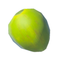 야자 열매 재료 젤다 왕국의 눈물 위키 가이드 200px
