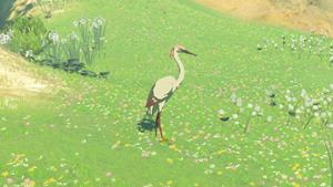 pink heron wildlife zelda totk wiki guide 300px