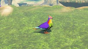 rainbow pigeon wildlife zelda totk wiki guide 300px