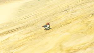 sand sparrow wildlife zelda totk wiki guide 300px