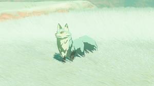 snowcoat fox wildlife zelda totk wiki guide 300px