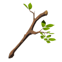 tree branch weapon zelda totk wiki guide
