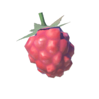 wildberry 재료 젤다 왕국의 눈물 위키 가이드 200px